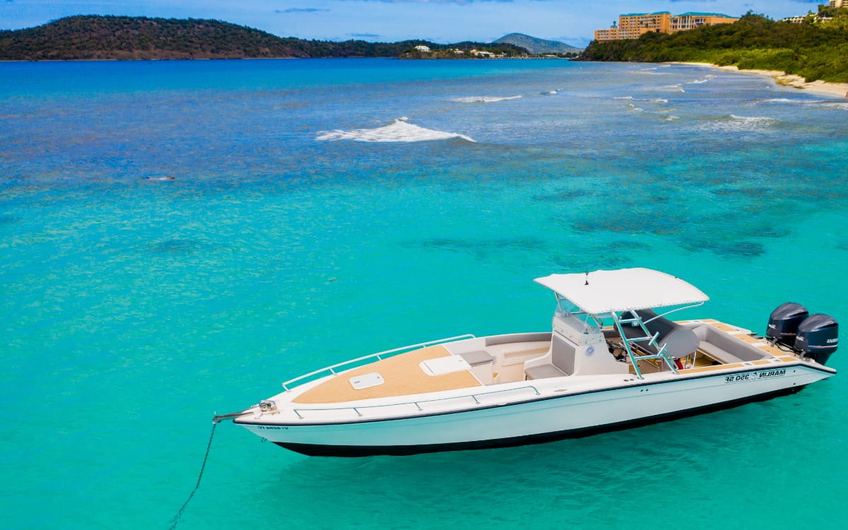Caribbean Blue Boat Charter & Tours